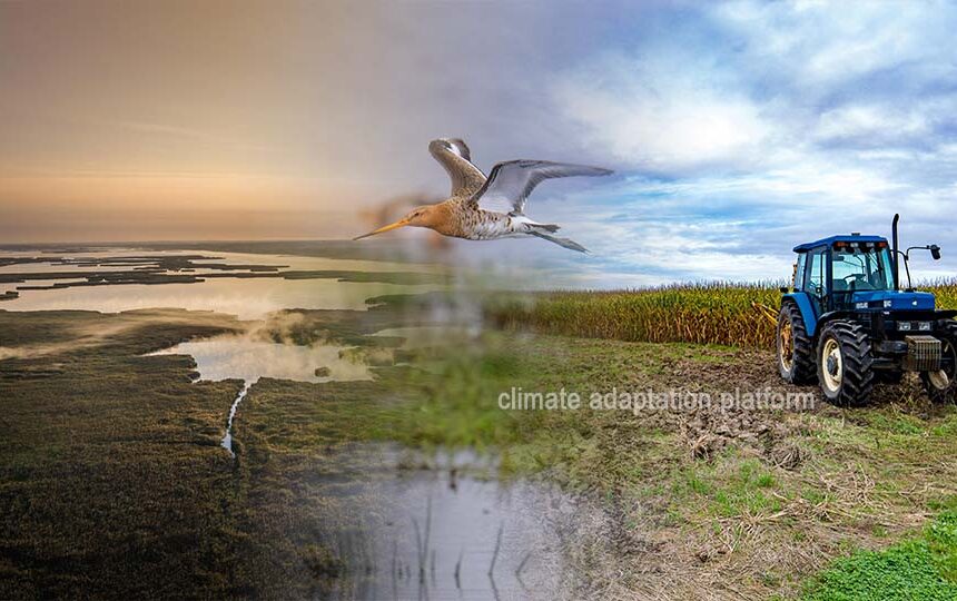 Grassland and Wetland Loss Endangers Biodiversity and Climate