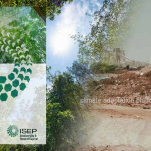 Benefits of Recognising Nature as Critical Infrastructure in the UK