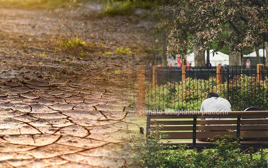 Climate Change Drives Physical Inactivity and Health Risks Higher