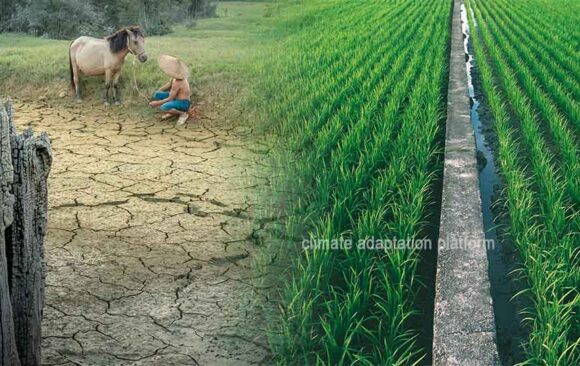 How Climate Change Is Reshaping Agricultural Water Management
