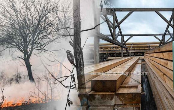 Debate Grows Over Using Burned Forests for Wood Pellets in Canada