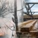 Debate Grows Over Using Burned Forests for Wood Pellets in Canada