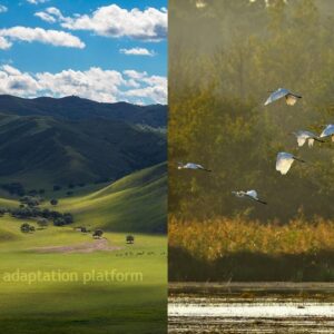 climate adaptation grassland and wetland loss