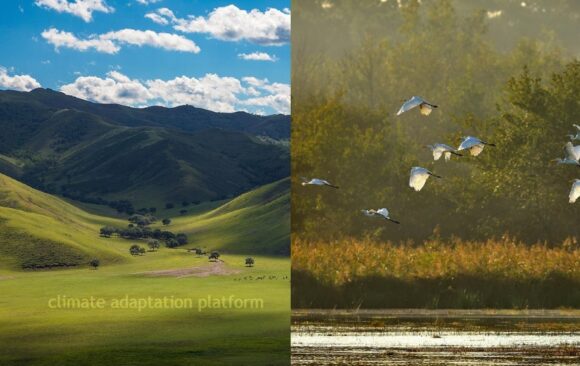 climate adaptation grassland and wetland loss