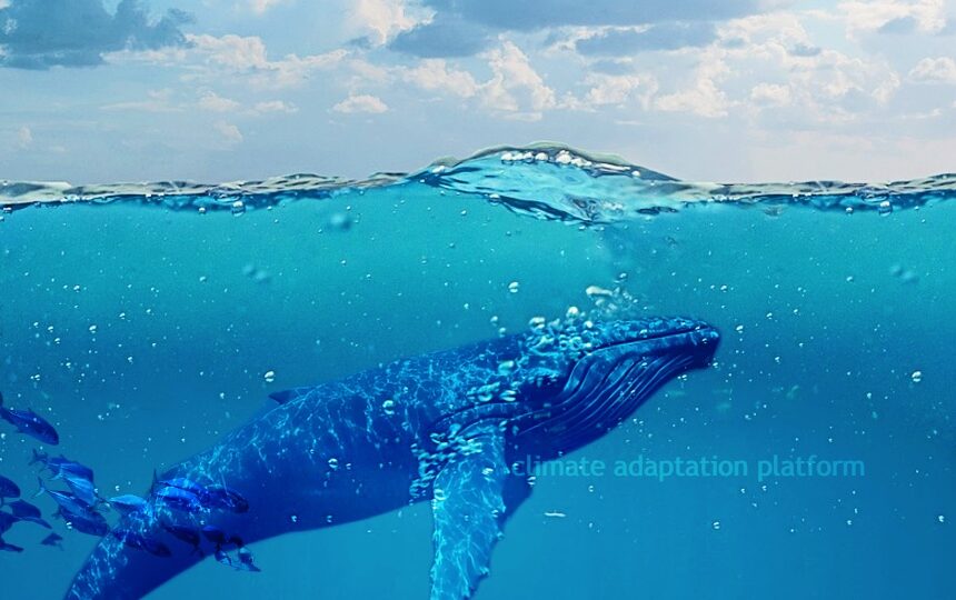 Climate Change Alters Phytoplankton’s Nutrient Composition