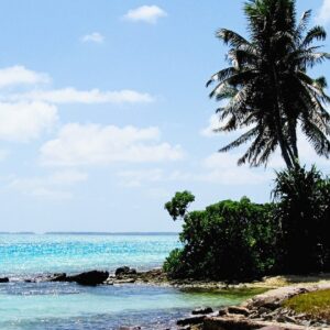 Climate Change Challenge Kiribati’s Tuna-Dependent Economy