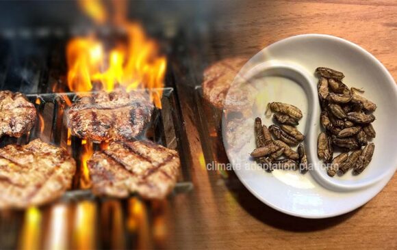 Insects as Food—Environmental and Nutritional Benefits Unveiled