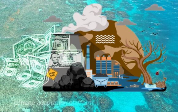 Empowering Local Leadership in Climate Adaptation and Finance