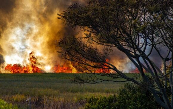 climatea adaptation canada wildfires affect usa