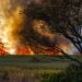 climatea adaptation canada wildfires affect usa