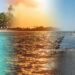 SIDS and Climate Change: Health, Resilience, and Global Action