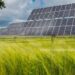 Agrivoltaics – Preserving Farmland and Powering Communities in Virginia