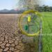Water Scarcity and Climate Adaptation in Egypt’s Agriculture Sector